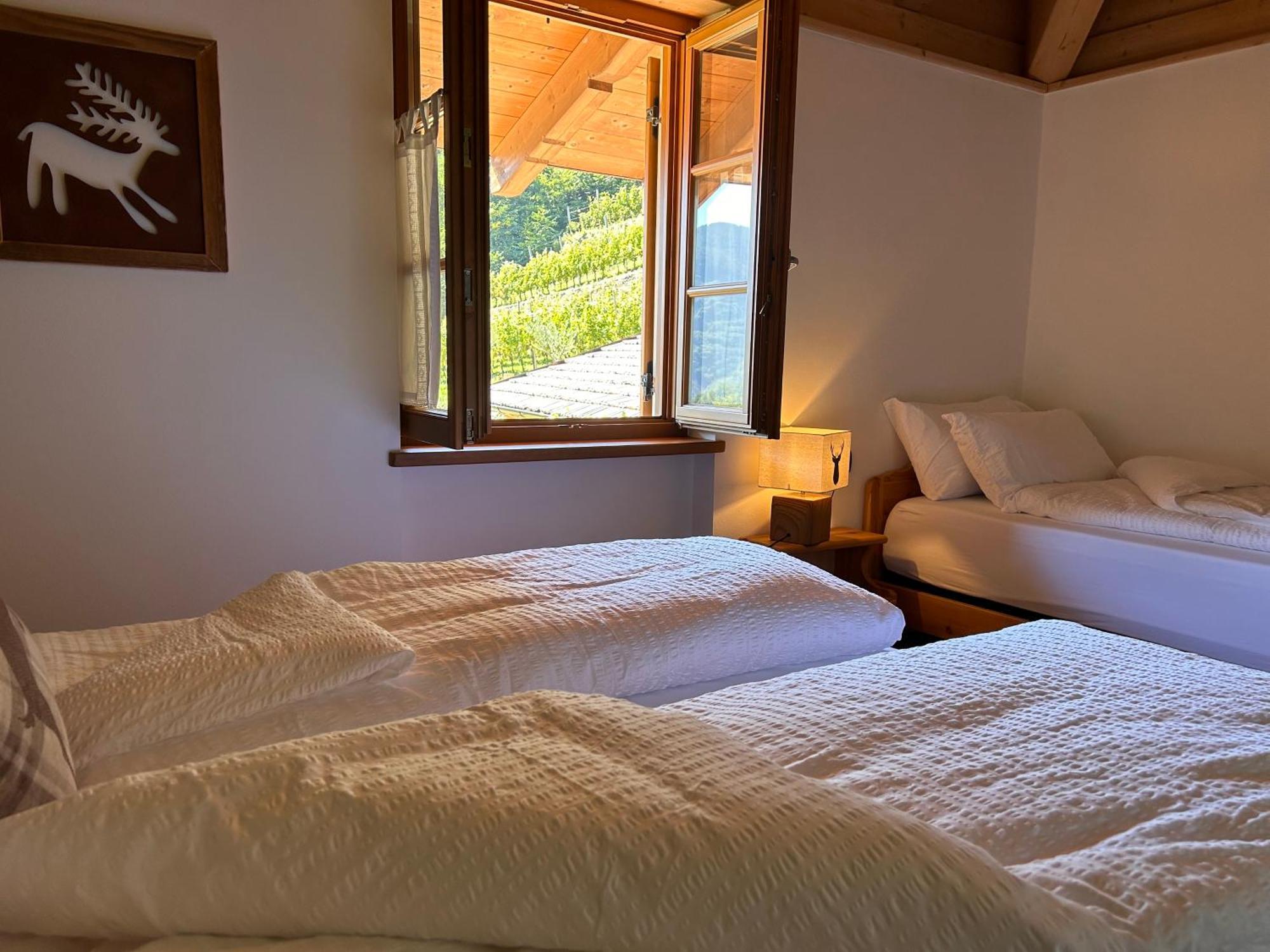Agriturismo Valfraja 琴布拉 外观 照片