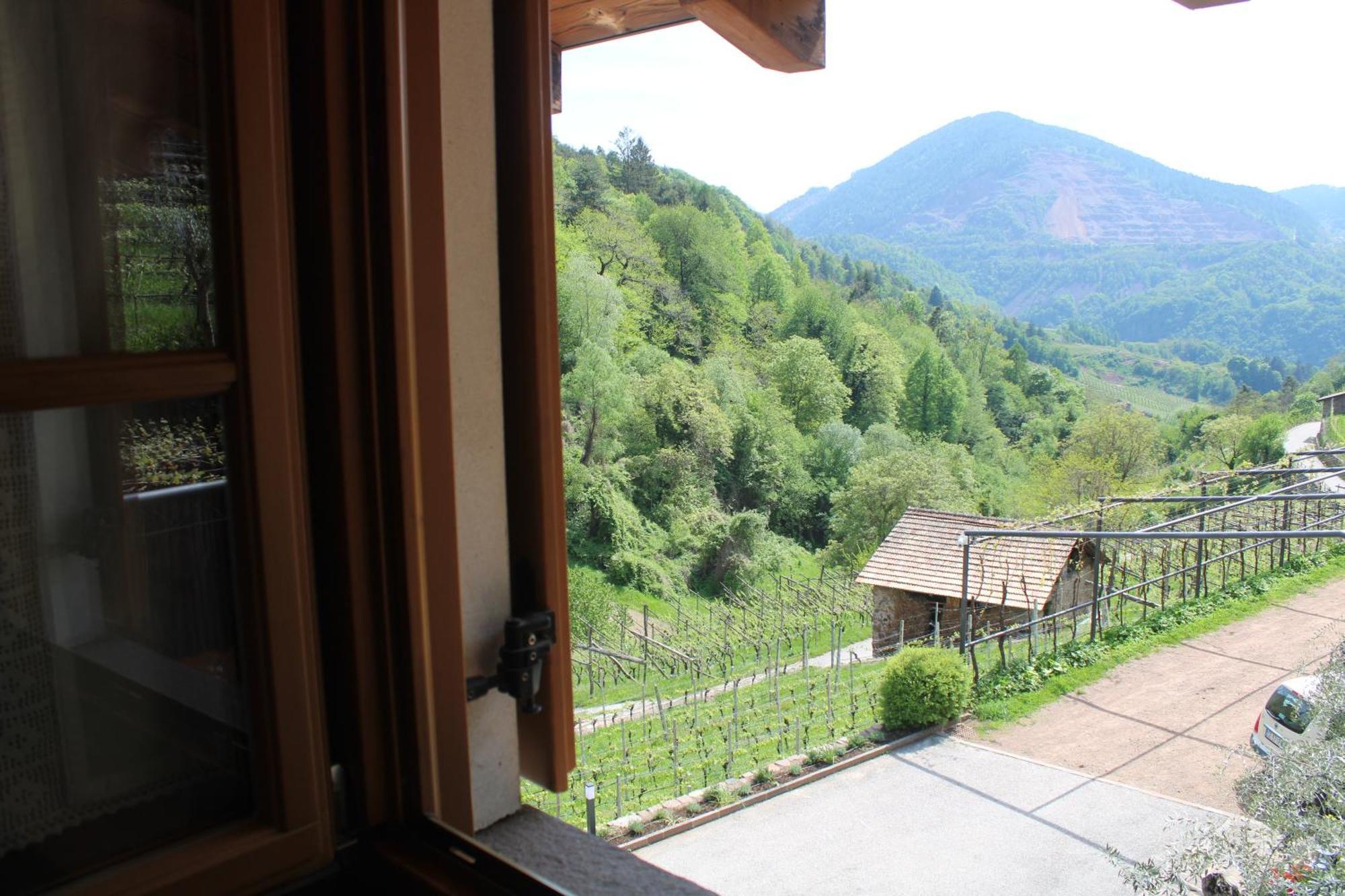 Agriturismo Valfraja 琴布拉 外观 照片
