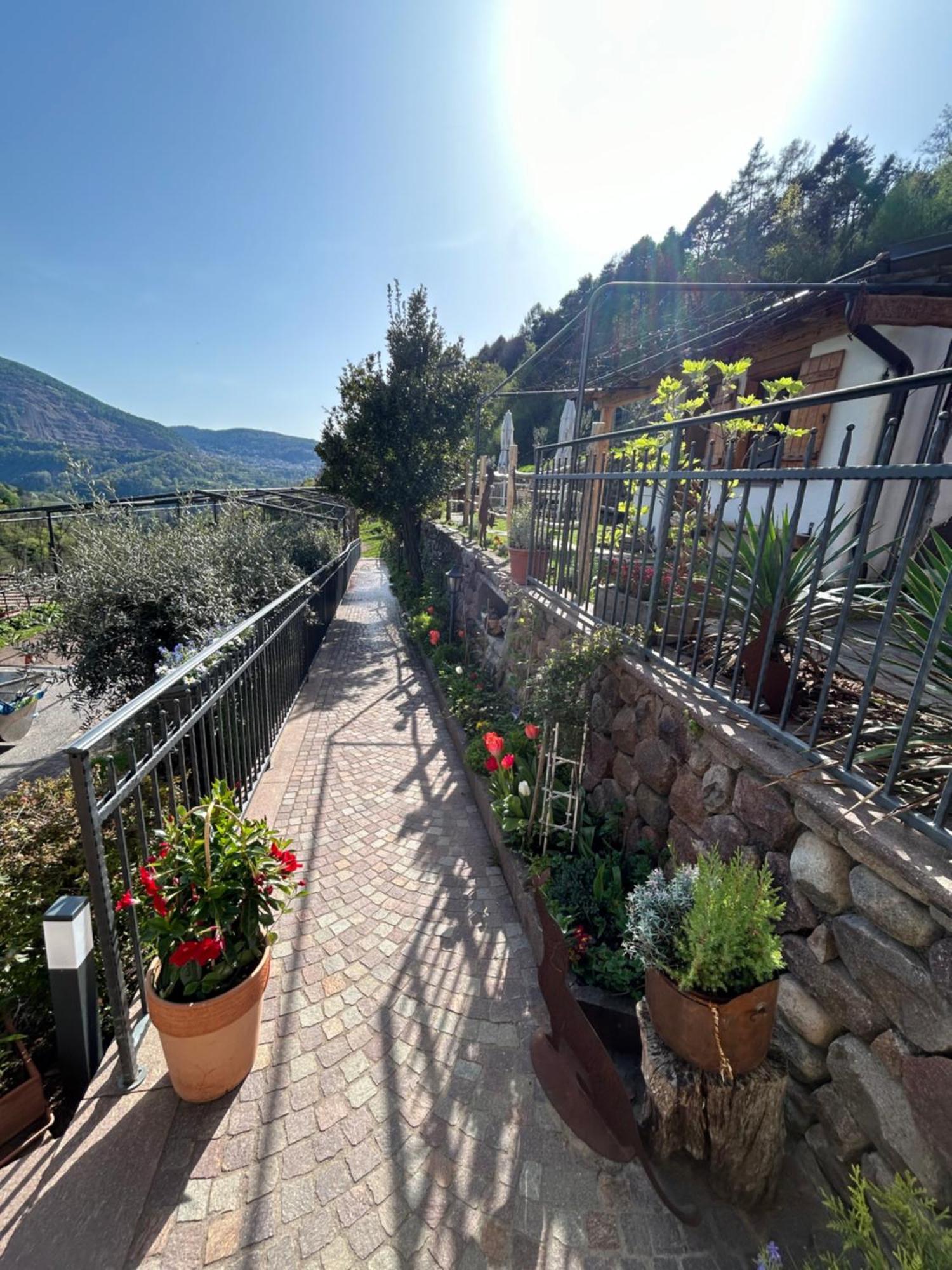 Agriturismo Valfraja 琴布拉 外观 照片