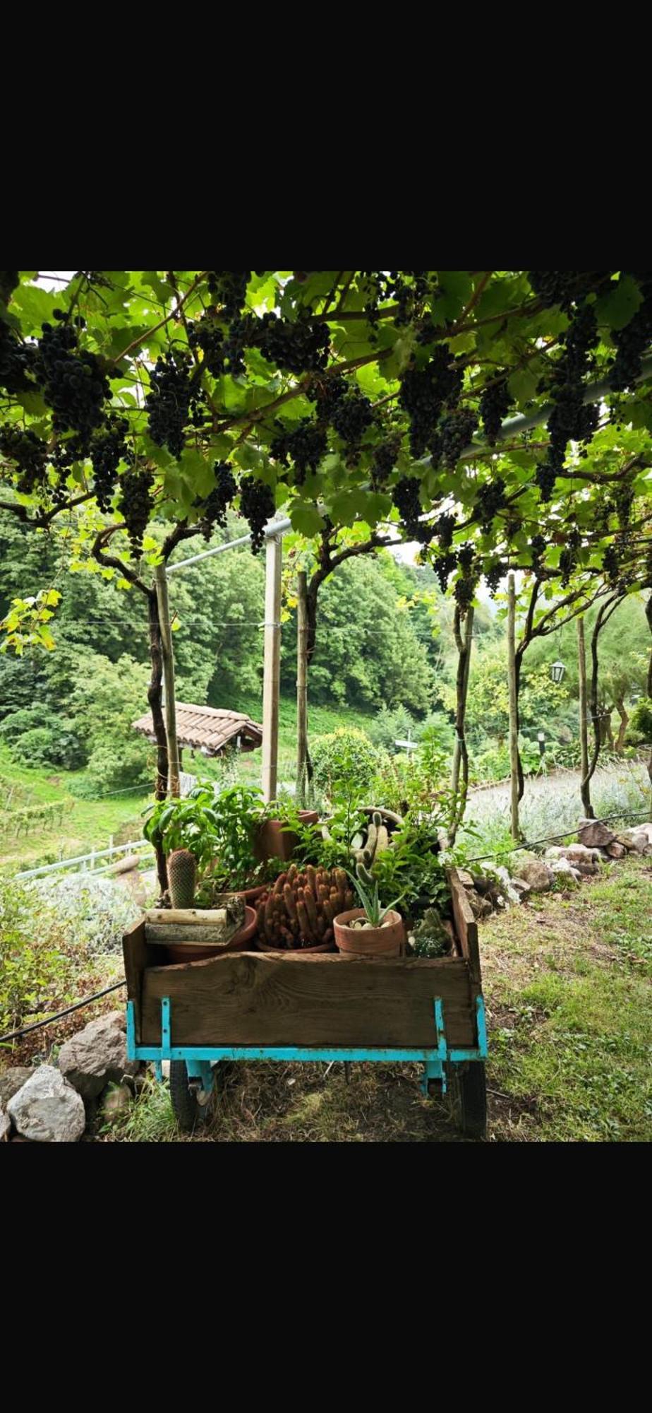 Agriturismo Valfraja 琴布拉 外观 照片