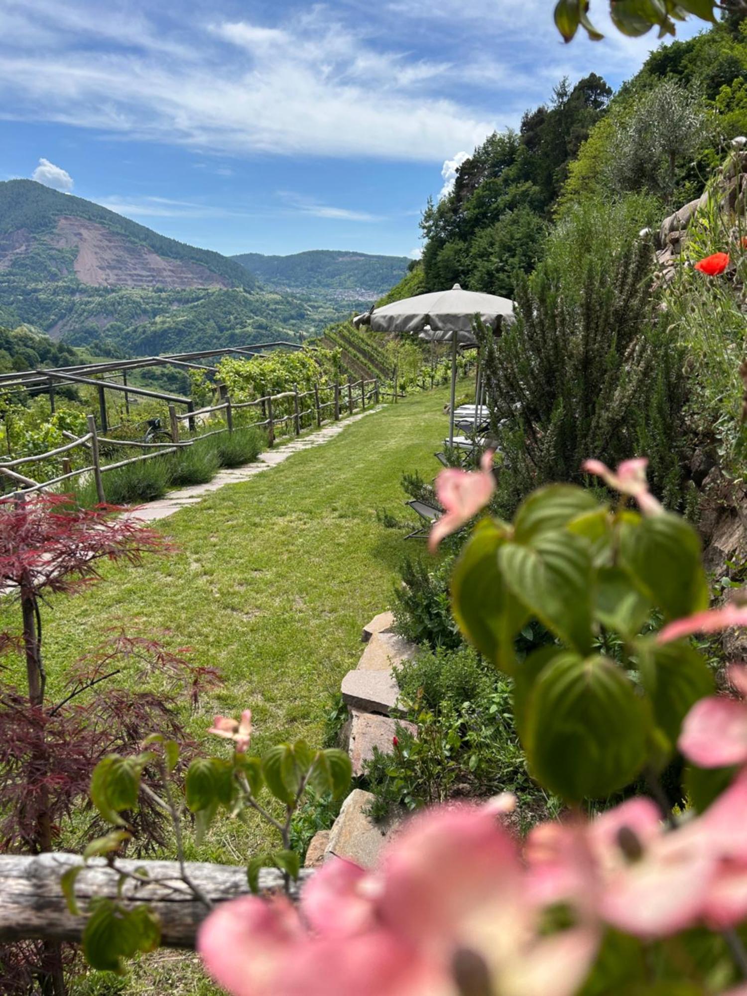 Agriturismo Valfraja 琴布拉 外观 照片